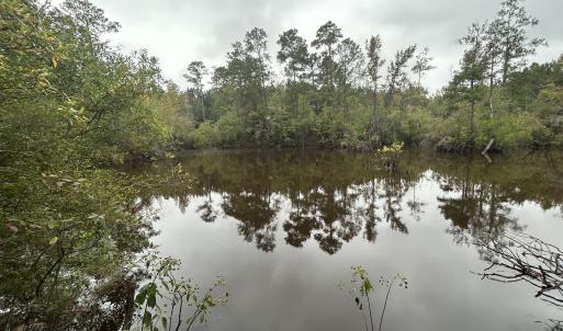 Photo #24 of Off Bunnlevel Erwin Rd, Bunnlevel, NC 41.4 acres