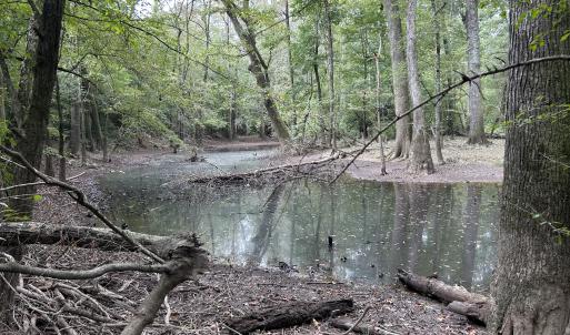 Photo #28 of Off Bunnlevel Erwin Rd, Bunnlevel, NC 41.4 acres
