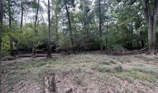 Photo #30 of Off Bunnlevel Erwin Rd, Bunnlevel, NC 41.4 acres