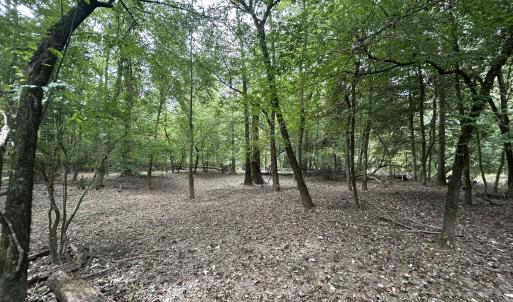 Photo #31 of Off Bunnlevel Erwin Rd, Bunnlevel, NC 41.4 acres