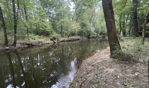 Photo #32 of Off Bunnlevel Erwin Rd, Bunnlevel, NC 41.4 acres