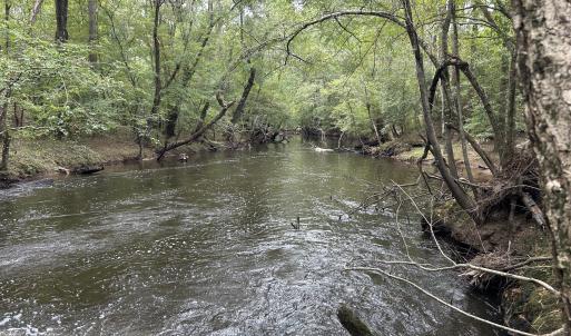 Photo #35 of Off Bunnlevel Erwin Rd, Bunnlevel, NC 41.4 acres