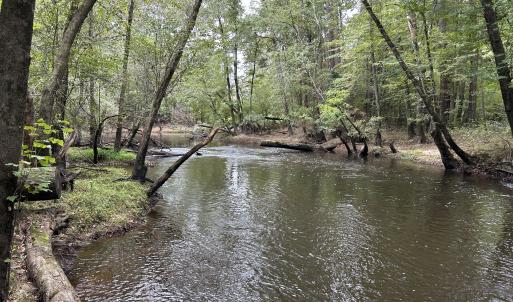 Photo #36 of Off Bunnlevel Erwin Rd, Bunnlevel, NC 41.4 acres