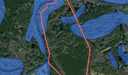 Photo #37 of Off Bunnlevel Erwin Rd, Bunnlevel, NC 41.4 acres