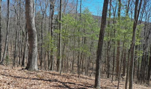 Photo #4 of 240 old Stone Dr Lot 47, Crumpler, NC 5.3 acres