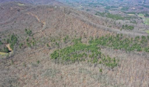 Photo #9 of 240 old Stone Dr Lot 47, Crumpler, NC 5.3 acres