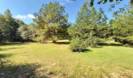 Photo #12 of 1788 Sandhill Game Management Road, Ellerbe, NC 33.4 acres