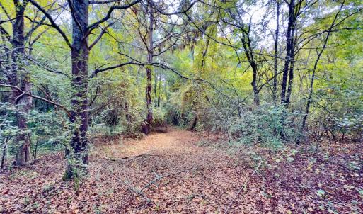 Photo #13 of 1788 Sandhill Game Management Road, Ellerbe, NC 33.4 acres
