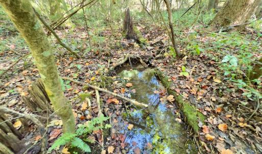 Photo #15 of 1788 Sandhill Game Management Road, Ellerbe, NC 33.4 acres
