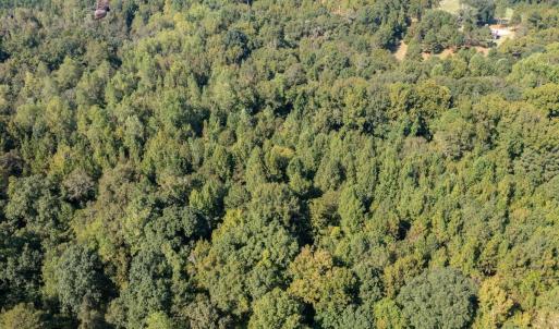 Photo #17 of 1788 Sandhill Game Management Road, Ellerbe, NC 33.4 acres