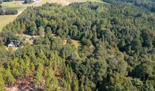 Photo #18 of 1788 Sandhill Game Management Road, Ellerbe, NC 33.4 acres