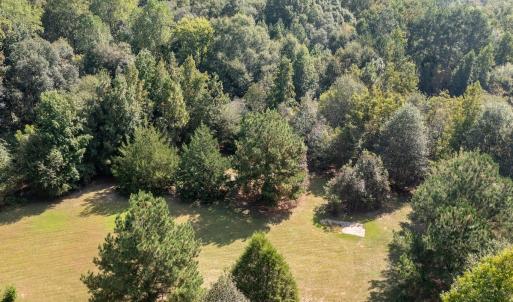 Photo #22 of 1788 Sandhill Game Management Road, Ellerbe, NC 33.4 acres