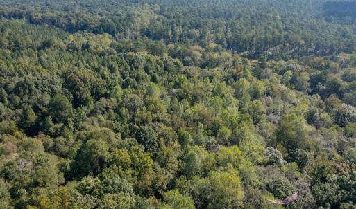 Photo #23 of 1788 Sandhill Game Management Road, Ellerbe, NC 33.4 acres