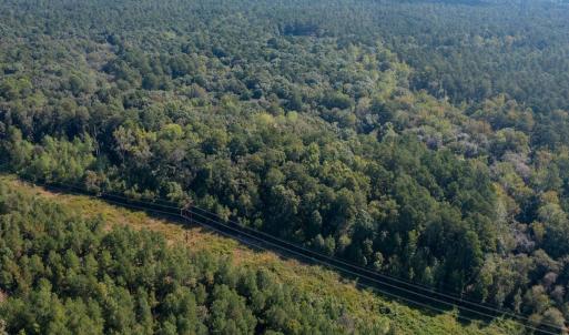 Photo #24 of 1788 Sandhill Game Management Road, Ellerbe, NC 33.4 acres