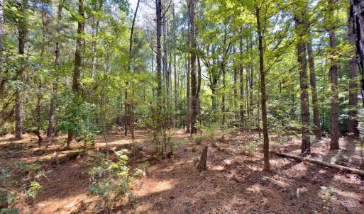 Photo #25 of 1788 Sandhill Game Management Road, Ellerbe, NC 33.4 acres