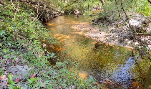 Photo #28 of 1788 Sandhill Game Management Road, Ellerbe, NC 33.4 acres