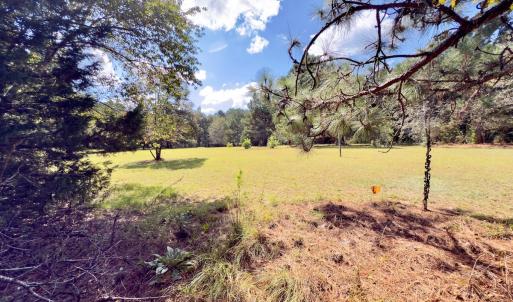 Photo #32 of 1788 Sandhill Game Management Road, Ellerbe, NC 33.4 acres