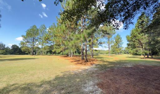 Photo #33 of 1788 Sandhill Game Management Road, Ellerbe, NC 33.4 acres