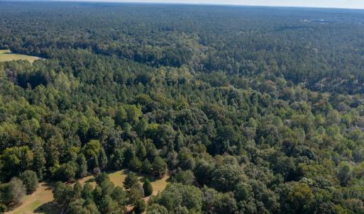 Photo #5 of 1788 Sandhill Game Management Road, Ellerbe, NC 33.4 acres