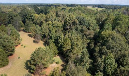 Photo #6 of 1788 Sandhill Game Management Road, Ellerbe, NC 33.4 acres