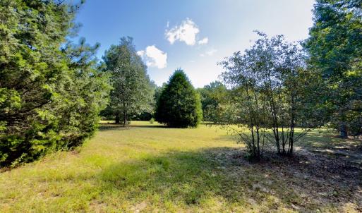 Photo #8 of 1788 Sandhill Game Management Road, Ellerbe, NC 33.4 acres