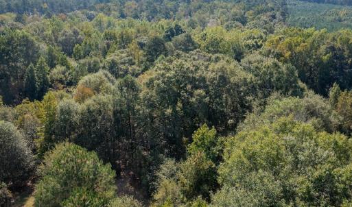 Photo #9 of 1788 Sandhill Game Management Road, Ellerbe, NC 33.4 acres