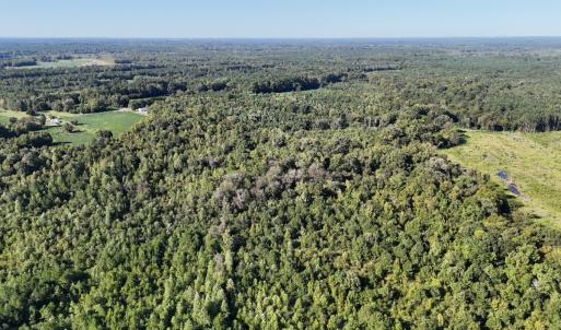 Photo #12 of Off Dahlia Road, Emporia, VA 25.4 acres