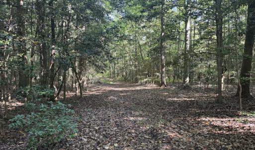 Photo #15 of Off Dahlia Road, Emporia, VA 25.4 acres