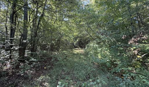 Photo #17 of Off Dahlia Road, Emporia, VA 25.4 acres