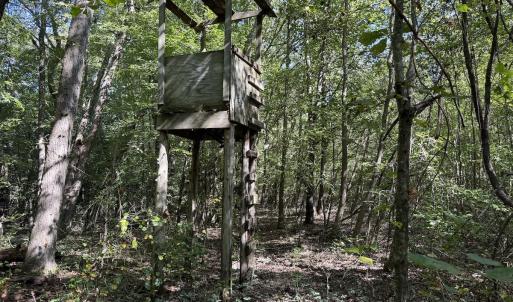 Photo #18 of Off Dahlia Road, Emporia, VA 25.4 acres