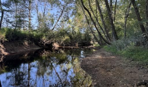 Photo #20 of Off Dahlia Road, Emporia, VA 25.4 acres