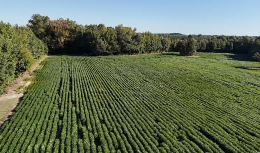 Photo #3 of Off Dahlia Road, Emporia, VA 25.4 acres