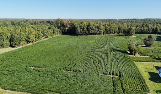 Photo #5 of Off Dahlia Road, Emporia, VA 25.4 acres