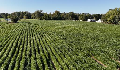 Photo #6 of Off Dahlia Road, Emporia, VA 25.4 acres