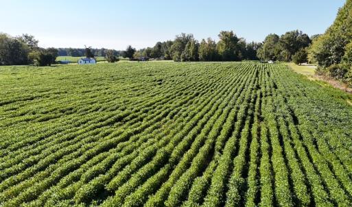Photo #7 of Off Dahlia Road, Emporia, VA 25.4 acres