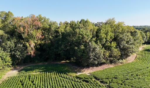 Photo #8 of Off Dahlia Road, Emporia, VA 25.4 acres