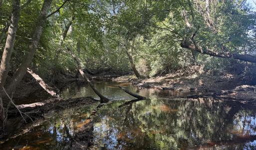 Photo #23 of Off Dahlia Road, Emporia, VA 25.4 acres