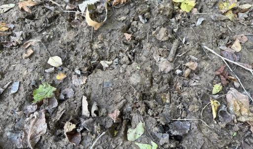 Photo #24 of Off Dahlia Road, Emporia, VA 25.4 acres