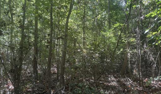 Photo #26 of Off Dahlia Road, Emporia, VA 25.4 acres