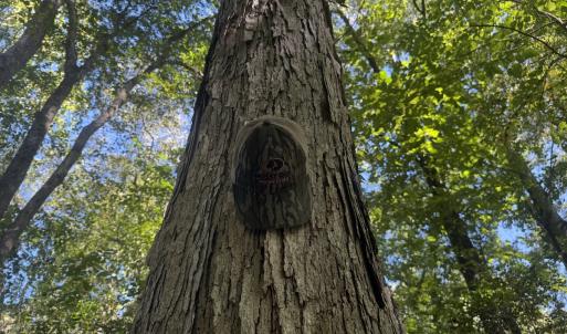 Photo #28 of Off Dahlia Road, Emporia, VA 25.4 acres
