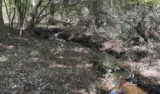 Photo #29 of Off Dahlia Road, Emporia, VA 25.4 acres