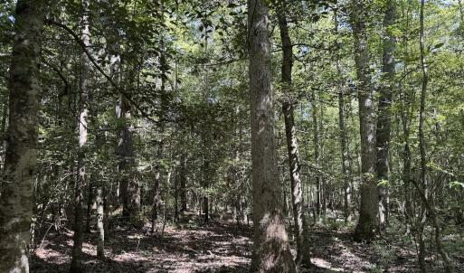Photo #30 of Off Dahlia Road, Emporia, VA 25.4 acres