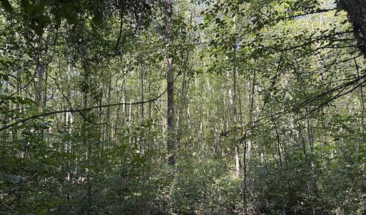 Photo #31 of Off Dahlia Road, Emporia, VA 25.4 acres