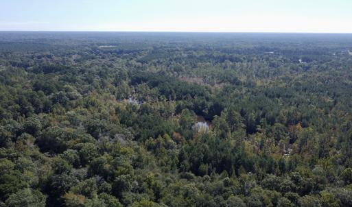 Photo #10 of Off Bunnlevel Erwin Rd, Bunnlevel, NC 41.4 acres