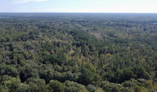 Photo #11 of Off Bunnlevel Erwin Rd, Bunnlevel, NC 41.4 acres