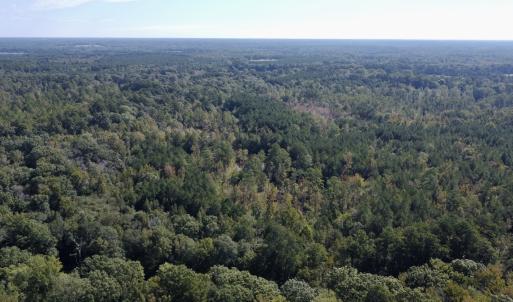 Photo #12 of Off Bunnlevel Erwin Rd, Bunnlevel, NC 41.4 acres