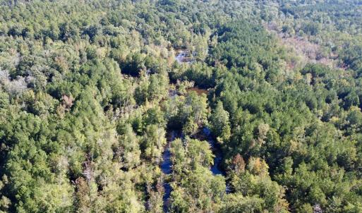 Photo #14 of Off Bunnlevel Erwin Rd, Bunnlevel, NC 41.4 acres