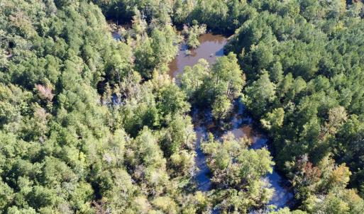 Photo #16 of Off Bunnlevel Erwin Rd, Bunnlevel, NC 41.4 acres