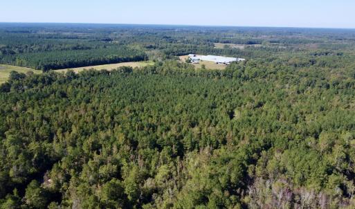 Photo #18 of Off Bunnlevel Erwin Rd, Bunnlevel, NC 41.4 acres