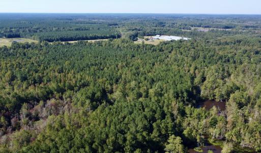 Photo #19 of Off Bunnlevel Erwin Rd, Bunnlevel, NC 41.4 acres